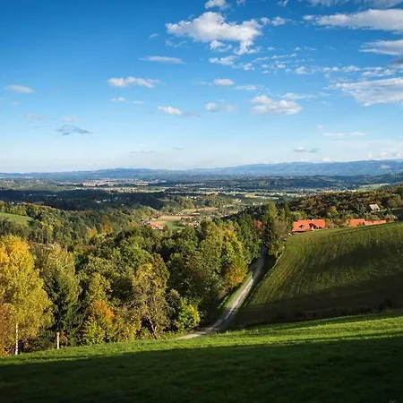 Chalet-südsteiermark - Traumhafte Aussicht, Infinity Pool, Privatsphäre, Klima Und De-luxe Ausstattung Chalet Schwanberg